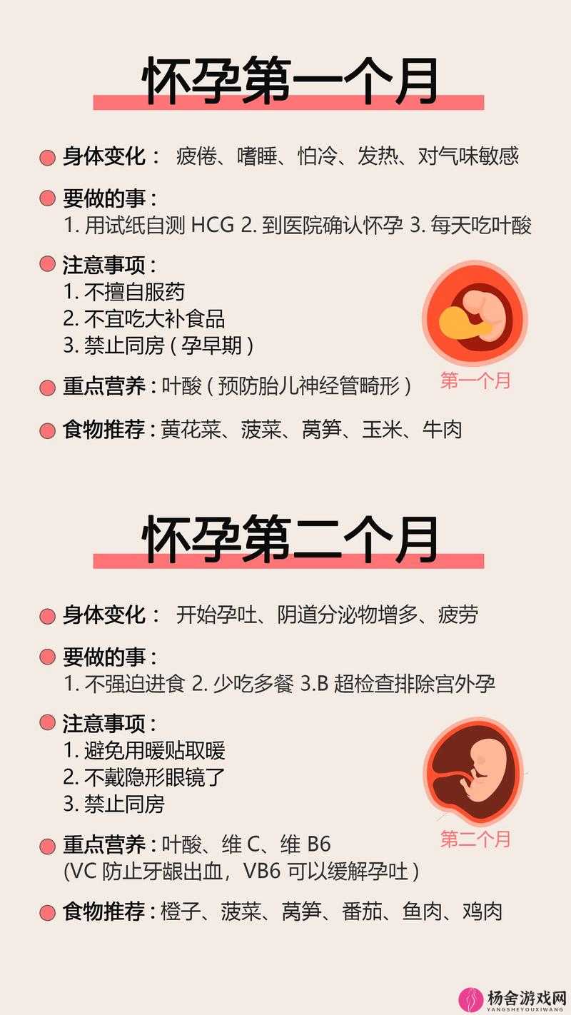 如何让母亲成功怀孕的科学方法与注意事项